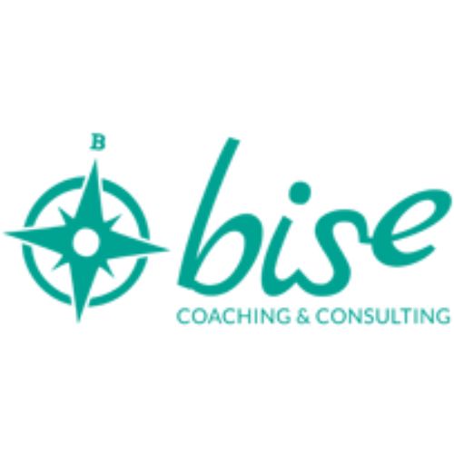 BISE COACHING SL